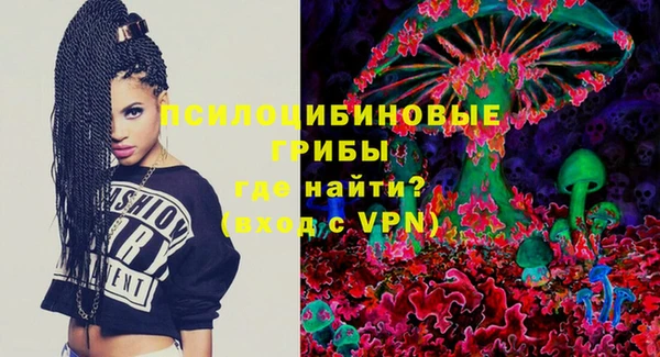 стаф Нефтегорск