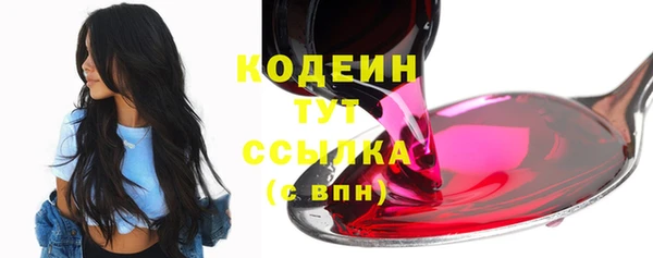 МДПВ Нея