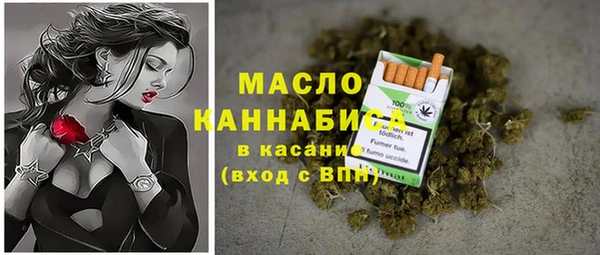 МДПВ Нея
