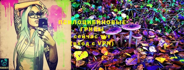 гидропоника Болхов