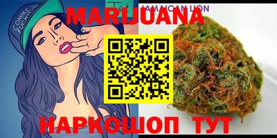 шишки Аргун