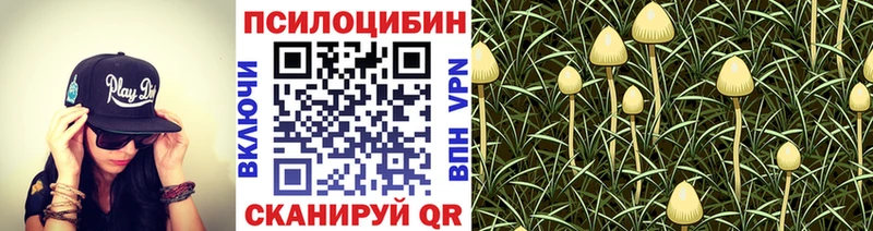 kraken ССЫЛКА  Урус-Мартан  Галлюциногенные грибы Cubensis 