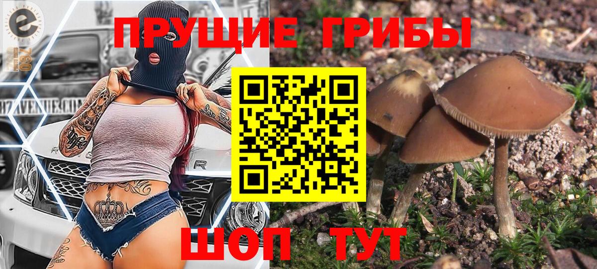 Псилоцибиновые грибы мухоморы Урус-Мартан