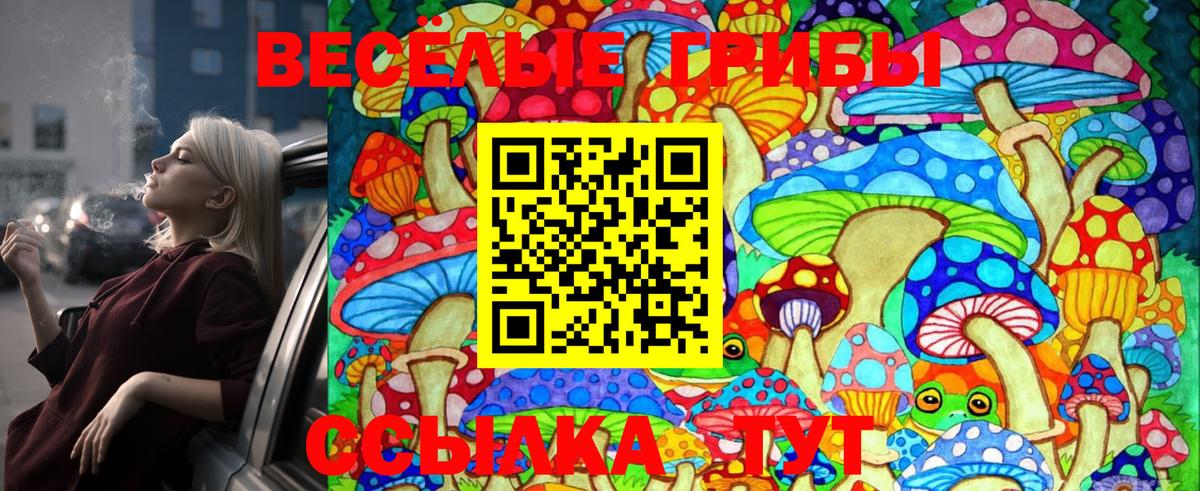 Псилоцибиновые грибы прущие грибы  Галлюциногенные грибы GOLDEN TEACHER  Вход с VPN  Урус-Мартан 