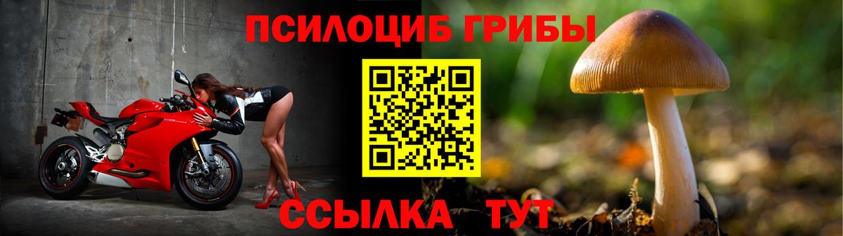 Псилоцибиновые грибы мухоморы  наркотики  Псилоцибиновые грибы Psilocybe  Урус-Мартан 